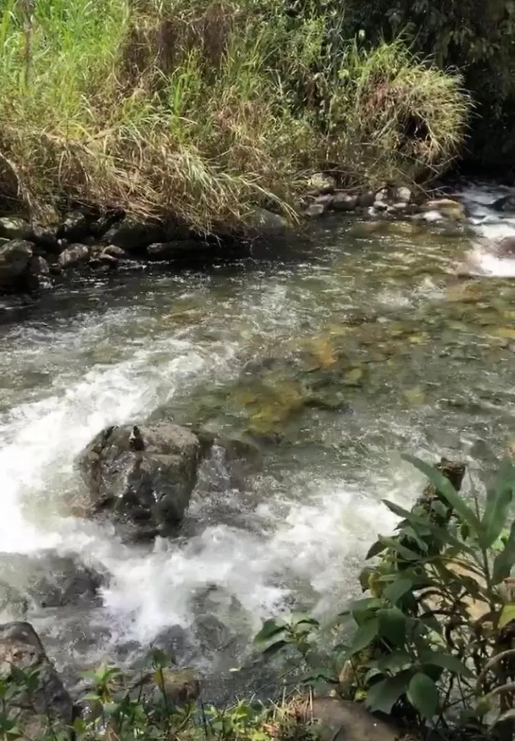 Rio Pance Finca Hotel Cali 0*,  Colombia