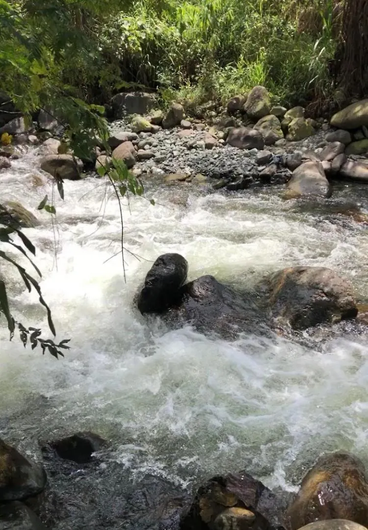 Rio Pance Finca Hotel Cali Campsite