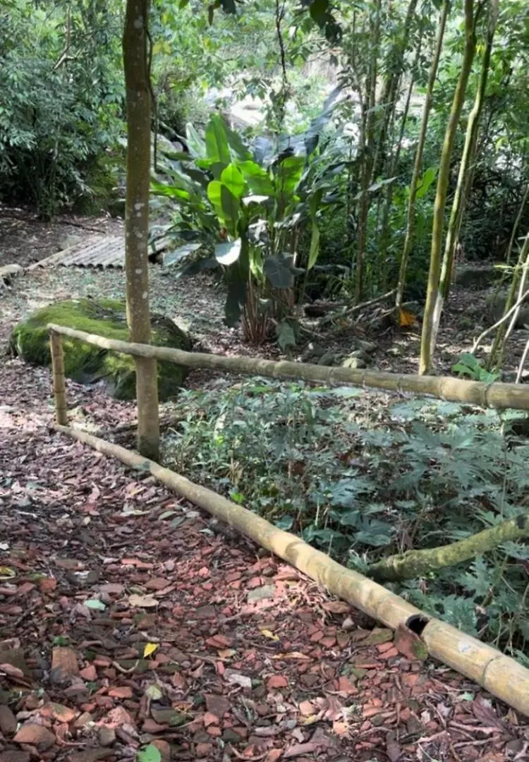 Campsite Rio Pance Finca Hotel Cali Colombia