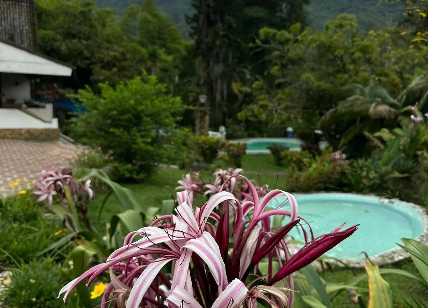 Rio Pance Finca Hotel Cali Campsite